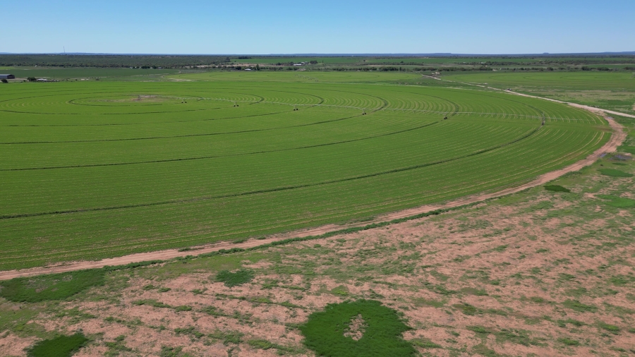 0 Bedroom Property for Sale in Douglas Rural Northern Cape